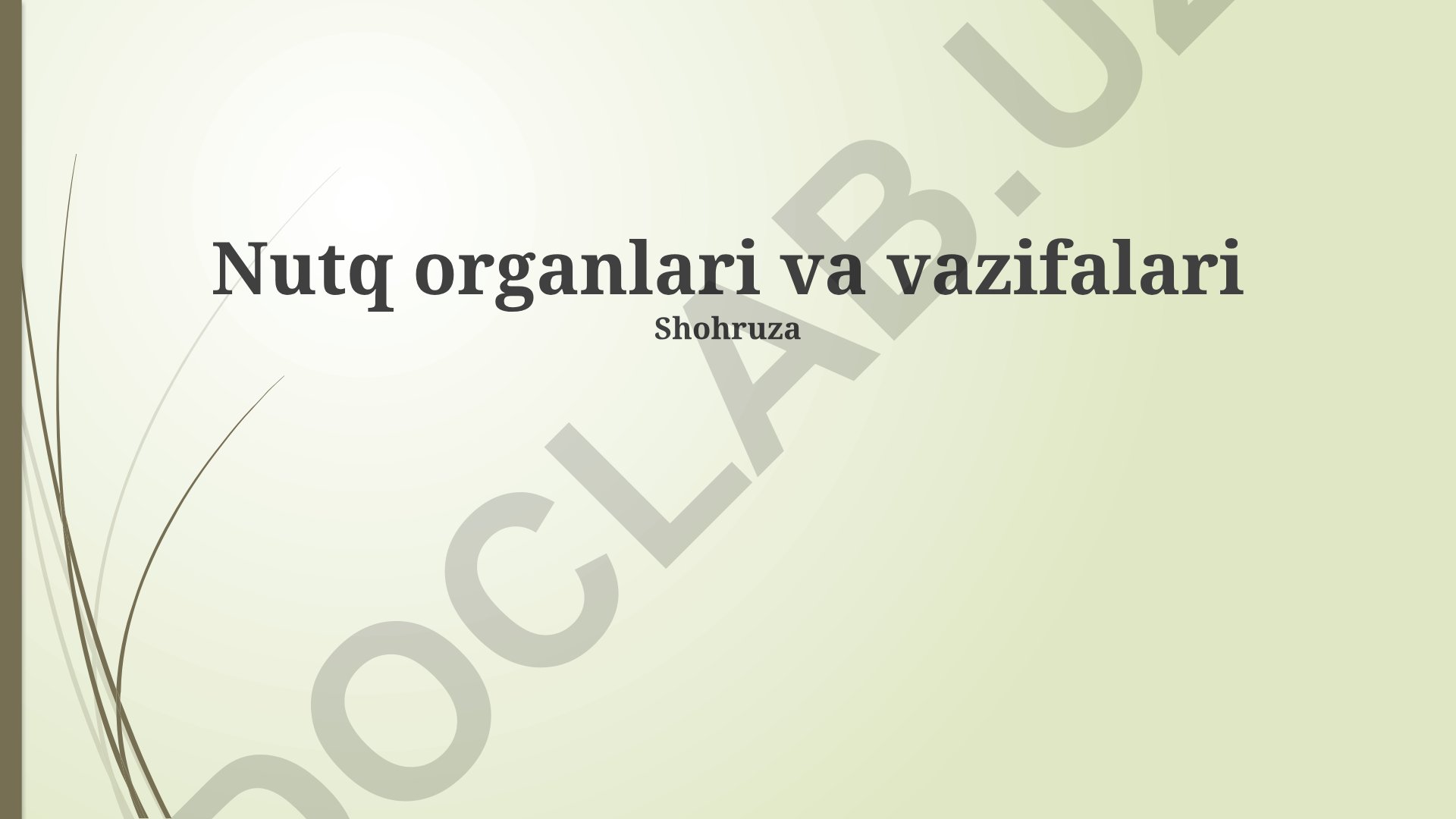 Nutq organlari va vazifalari