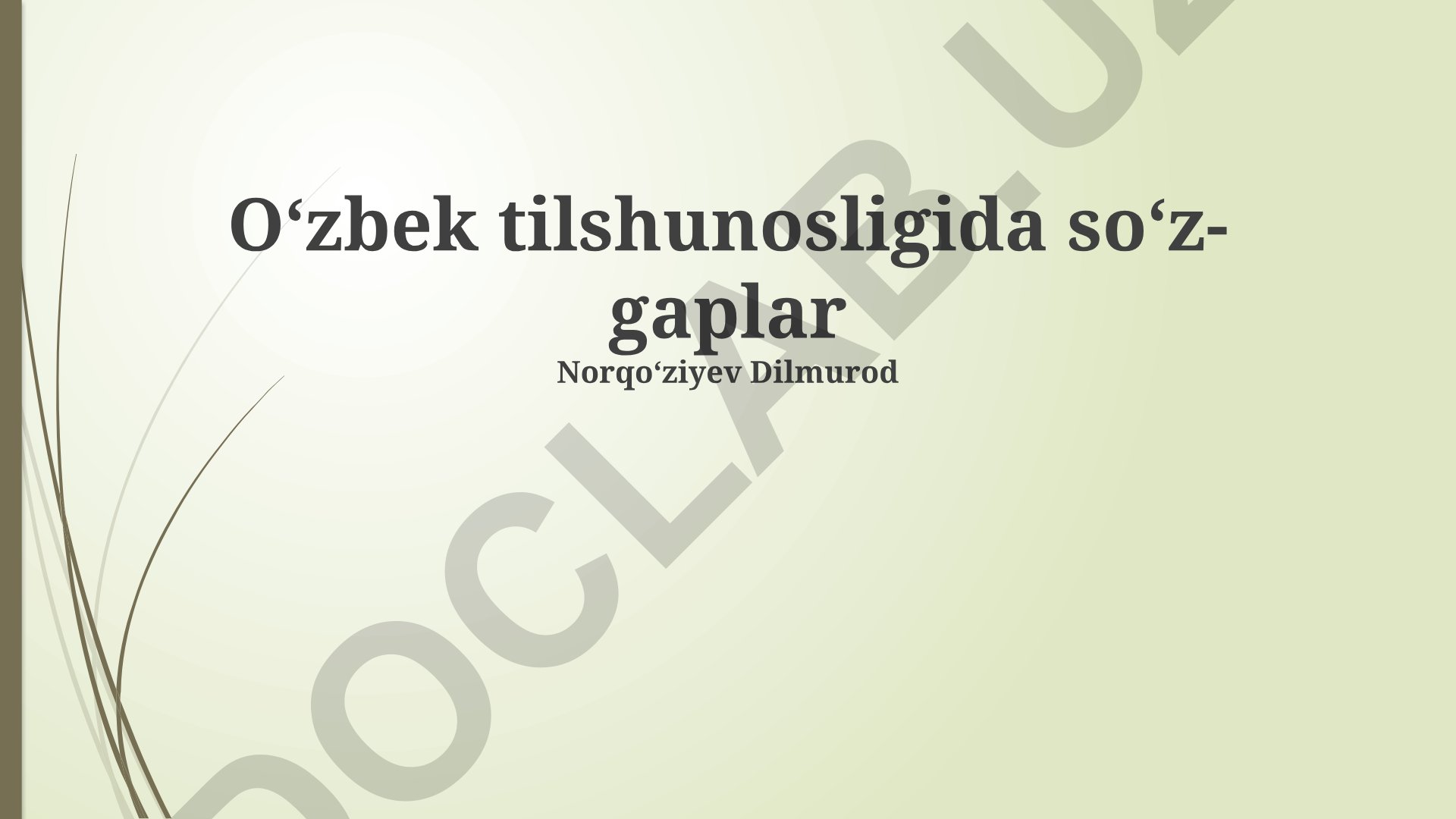 Oʻzbek tilshunosligida soʻz-gaplar