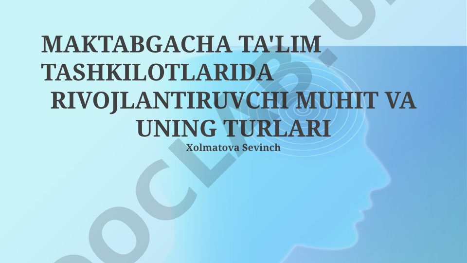 Maktabgacha ta'lim tashkilotlarida rivojlantiruvchi muhit va uning turlari