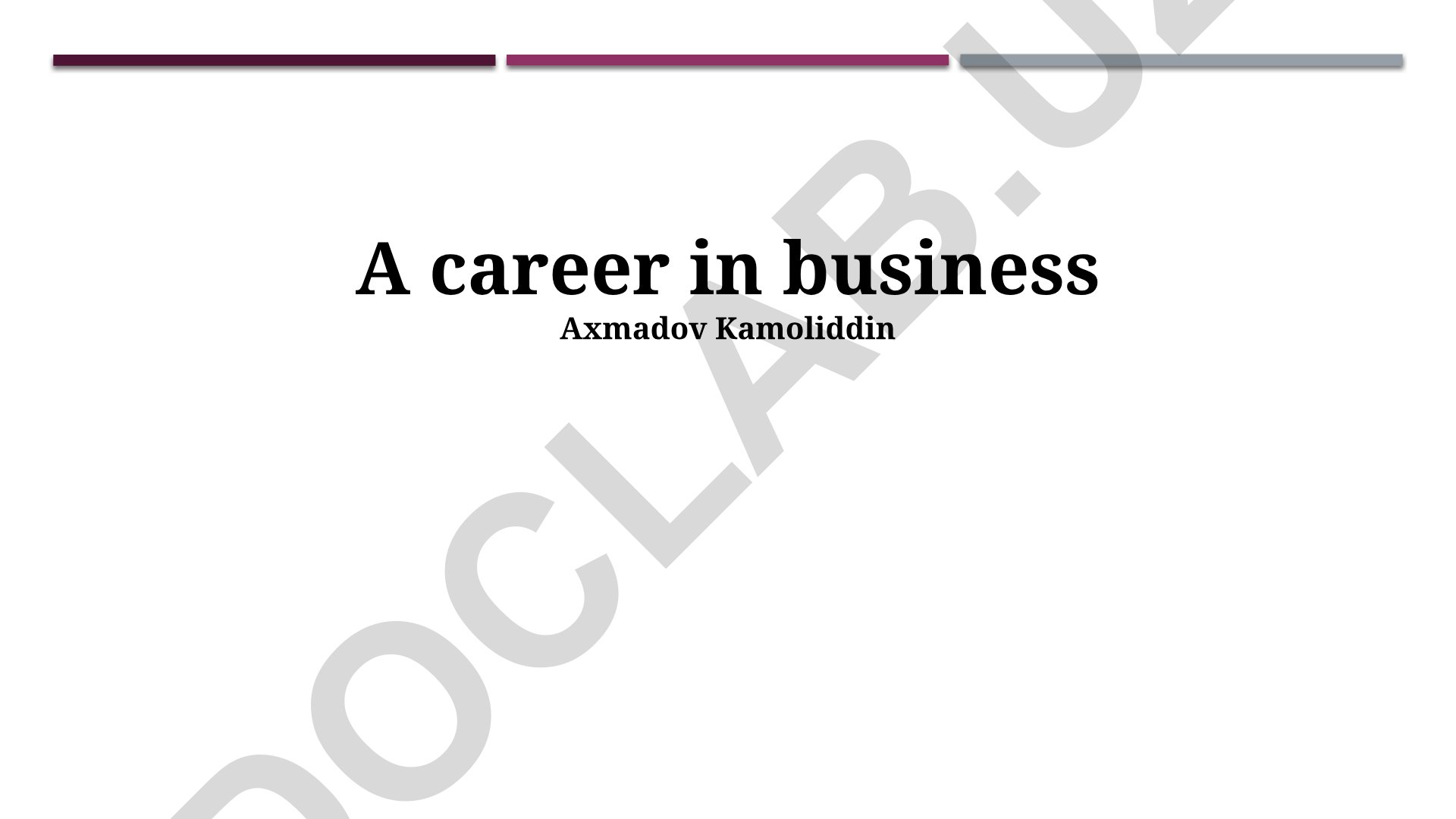 Business Career Development and Success Strategies