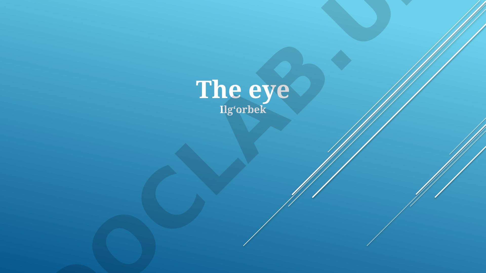 The Human Eye: Anatomy, Function, and Common Conditions