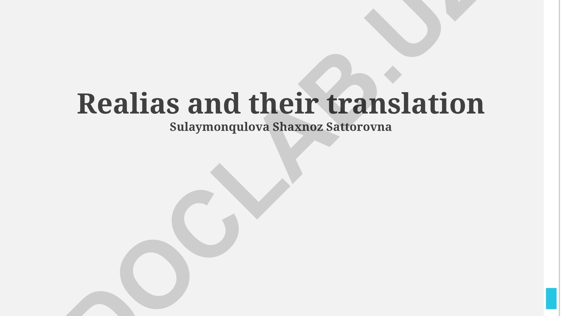 Strategies for Effective Realia Translation