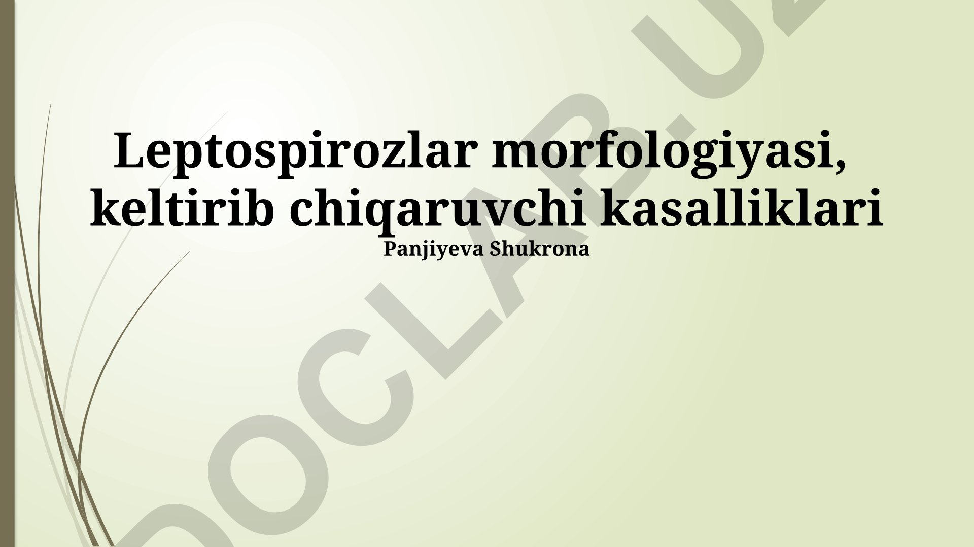 Leptospira bakteriyalarining morfologiyasi va leptospiroz kasalligi