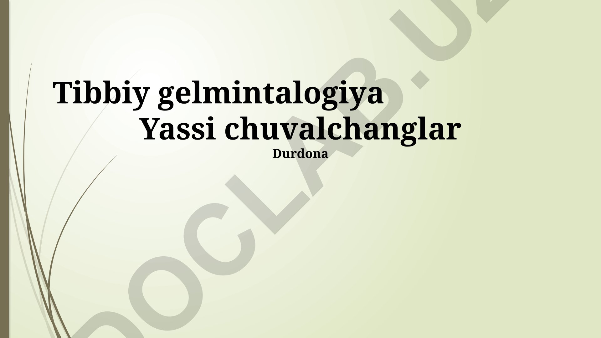 Yassi chuvalchanglar: tibbiy gelmintalogiya