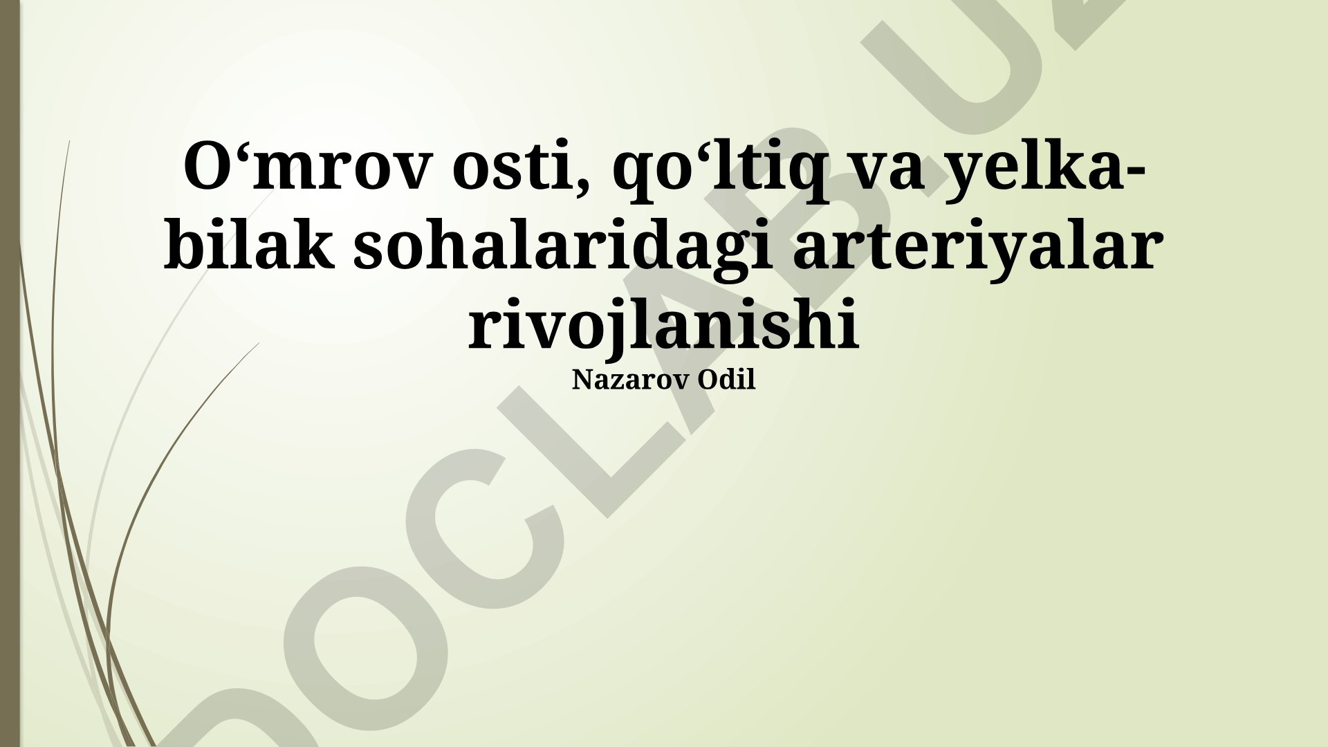 Oʻmrov osti, qoʻltiq va yelka-bilak sohalaridagi arteriyalar rivojlanishi