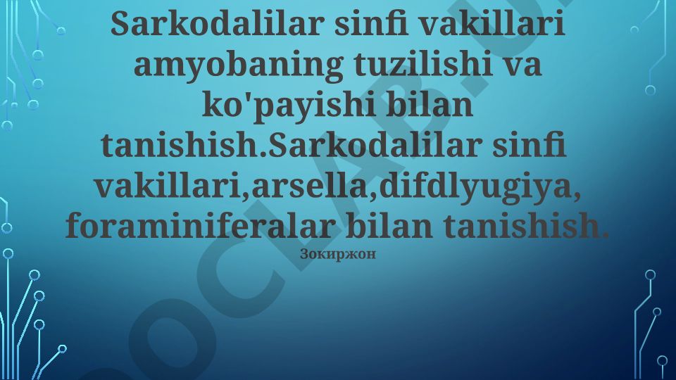 Sarkodalilar sinfi vakillari amyobaning tuzilishi va ko'payishi
