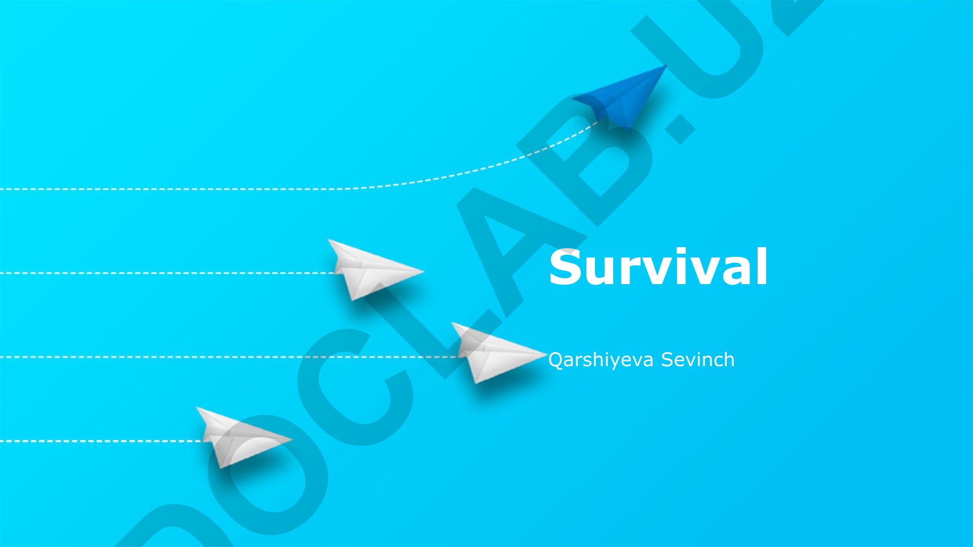 Survival Qarshiyeva Sevinch Plan: Essential Needs Advanced Techniques Mental Fortitude Shelter and Protection