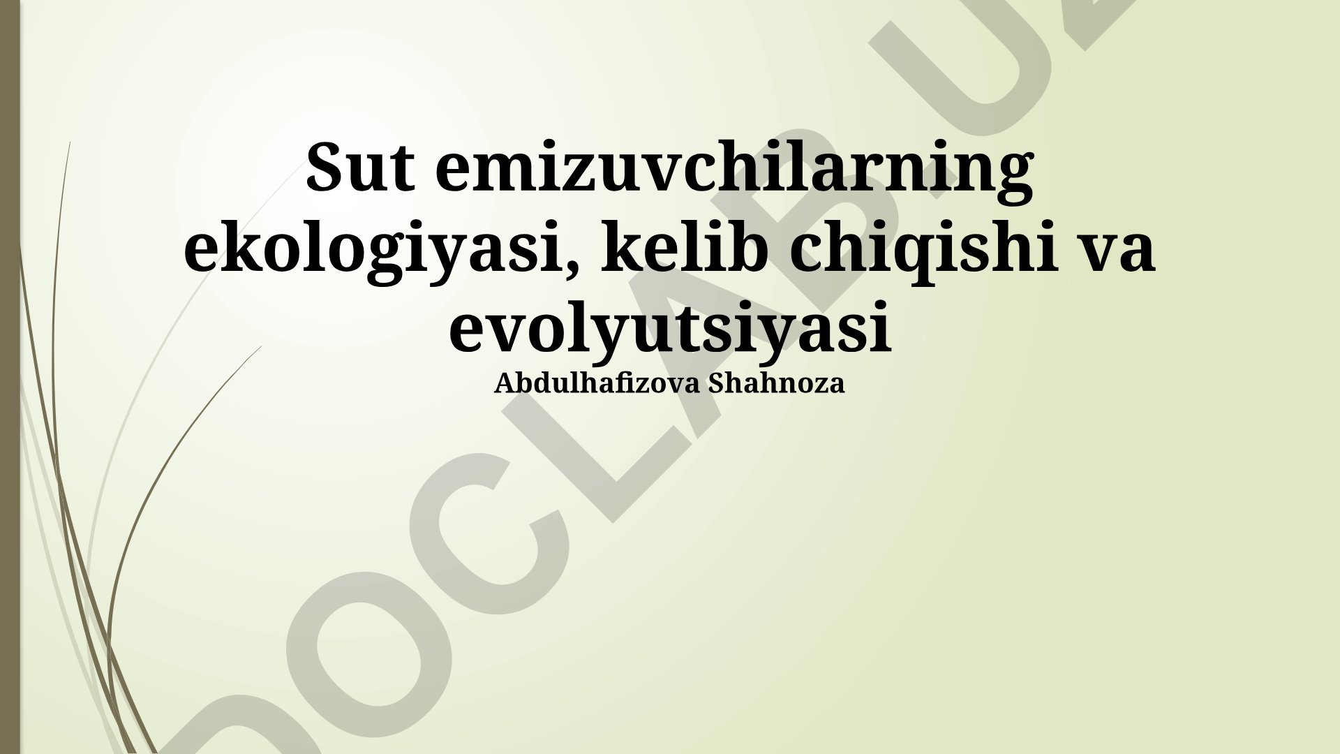 Sut emizuvchilarning ekologiyasi, kelib chiqishi va evolyutsiyasi