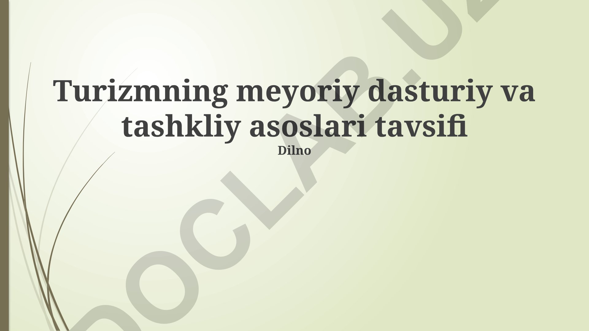 Turizmning meyoriy dasturiy va tashkiliy asoslari