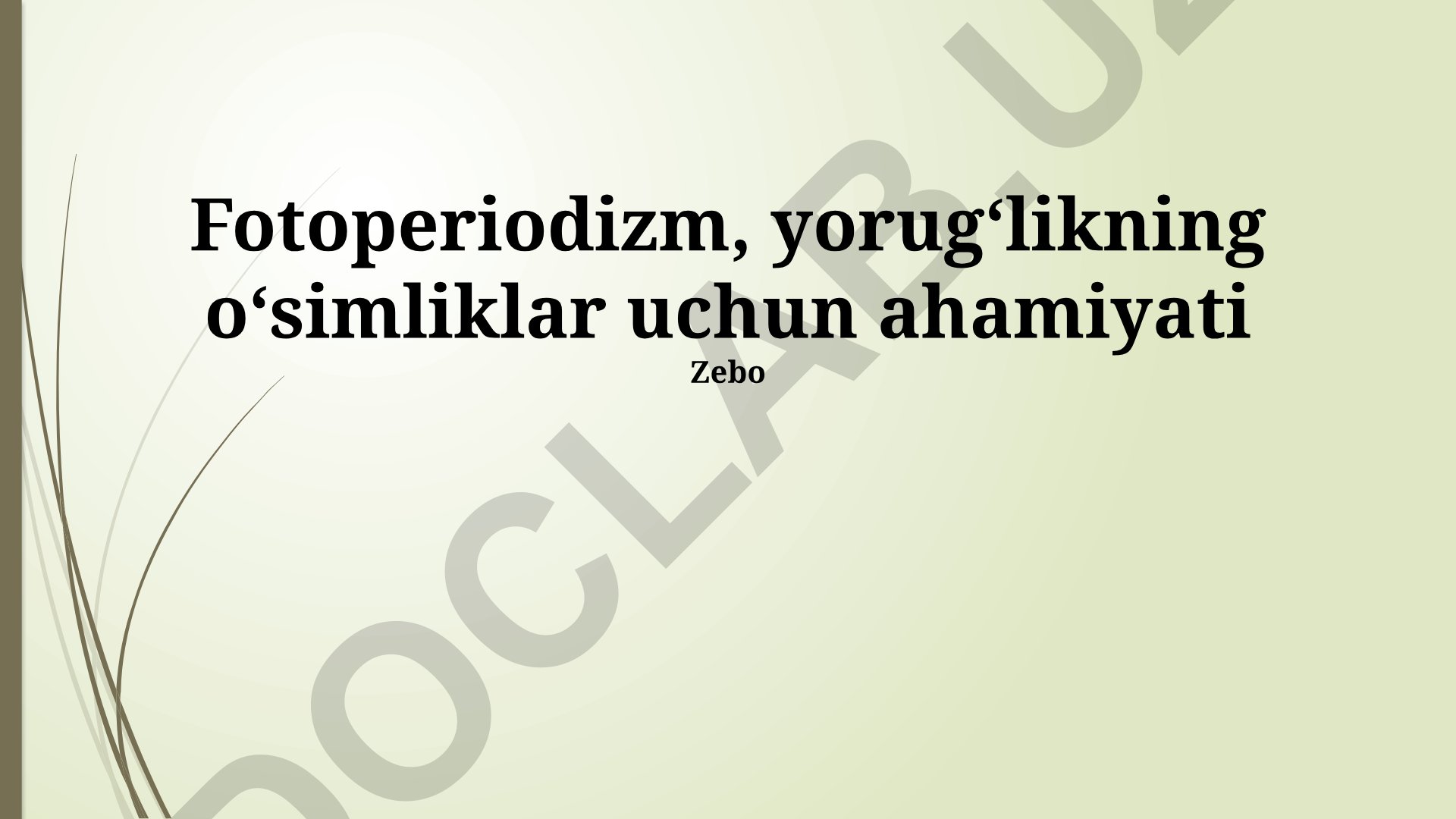 Fotoperiodizm va yorugʻlikning oʻsimliklar uchun ahamiyati