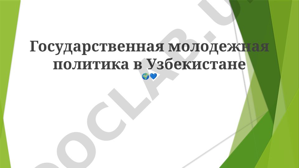 Государственная молодежная политика в Узбекистане