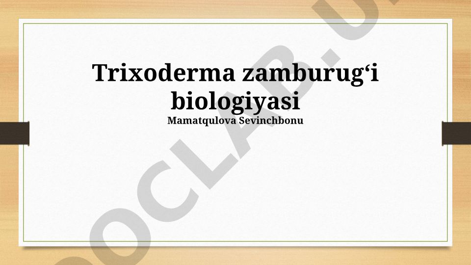 Trichoderma zamburug'ining biologiyasi va qishloq xo'jaligida qo'llanilishi
