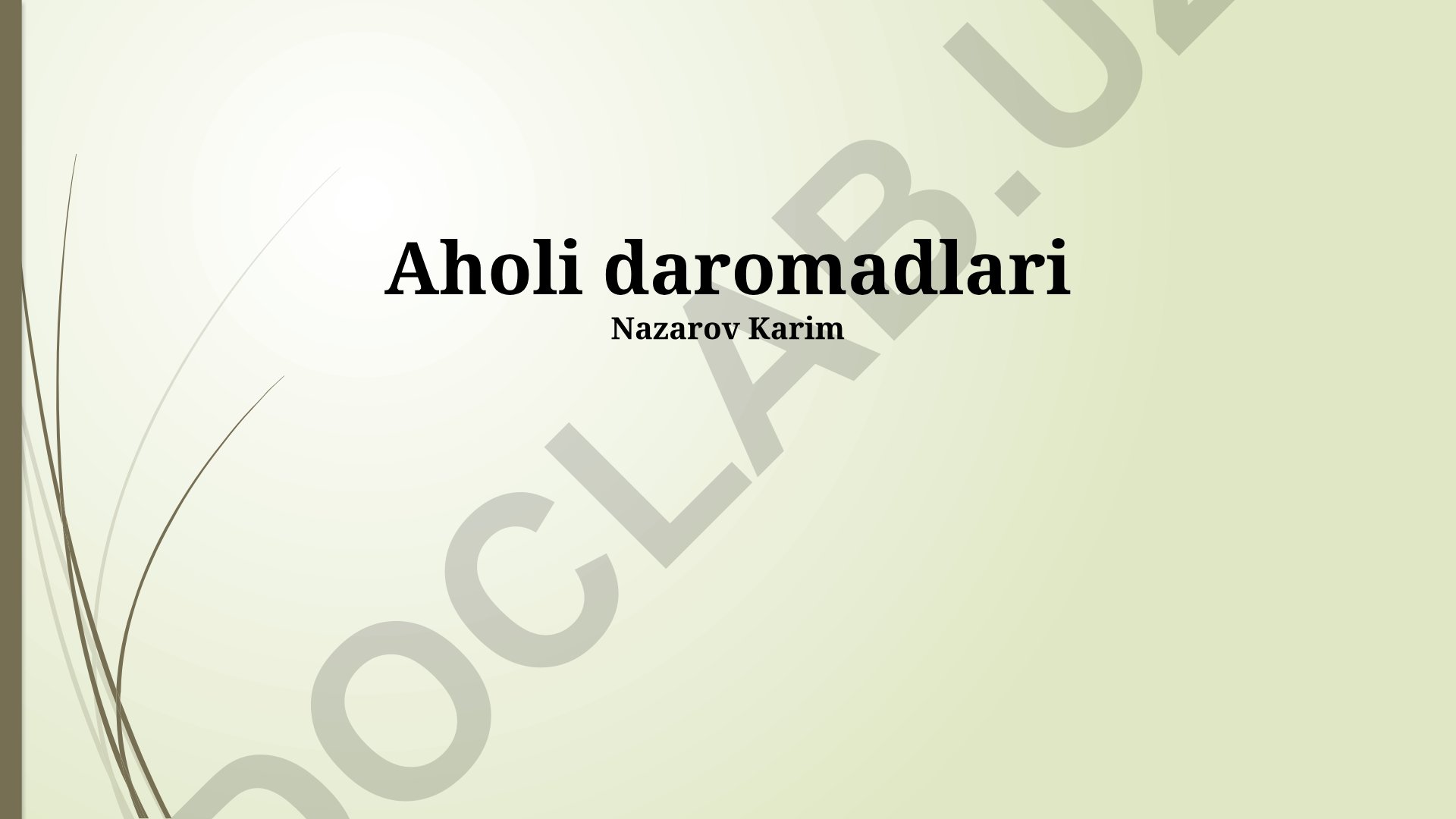 Aholi daromadlari va uy xo'jaliklarining daromad manbalari