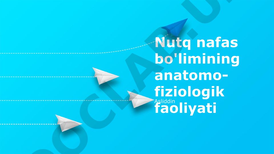Nafas bo'limining anatomo-fiziologik faoliyati
