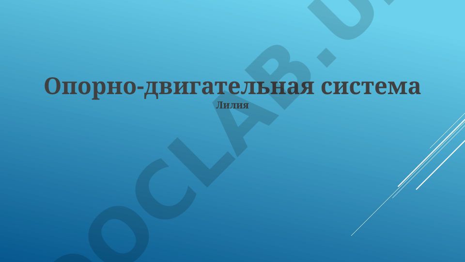 Опорно-двигательная система: заболевания, структура, диагностика и лечение
