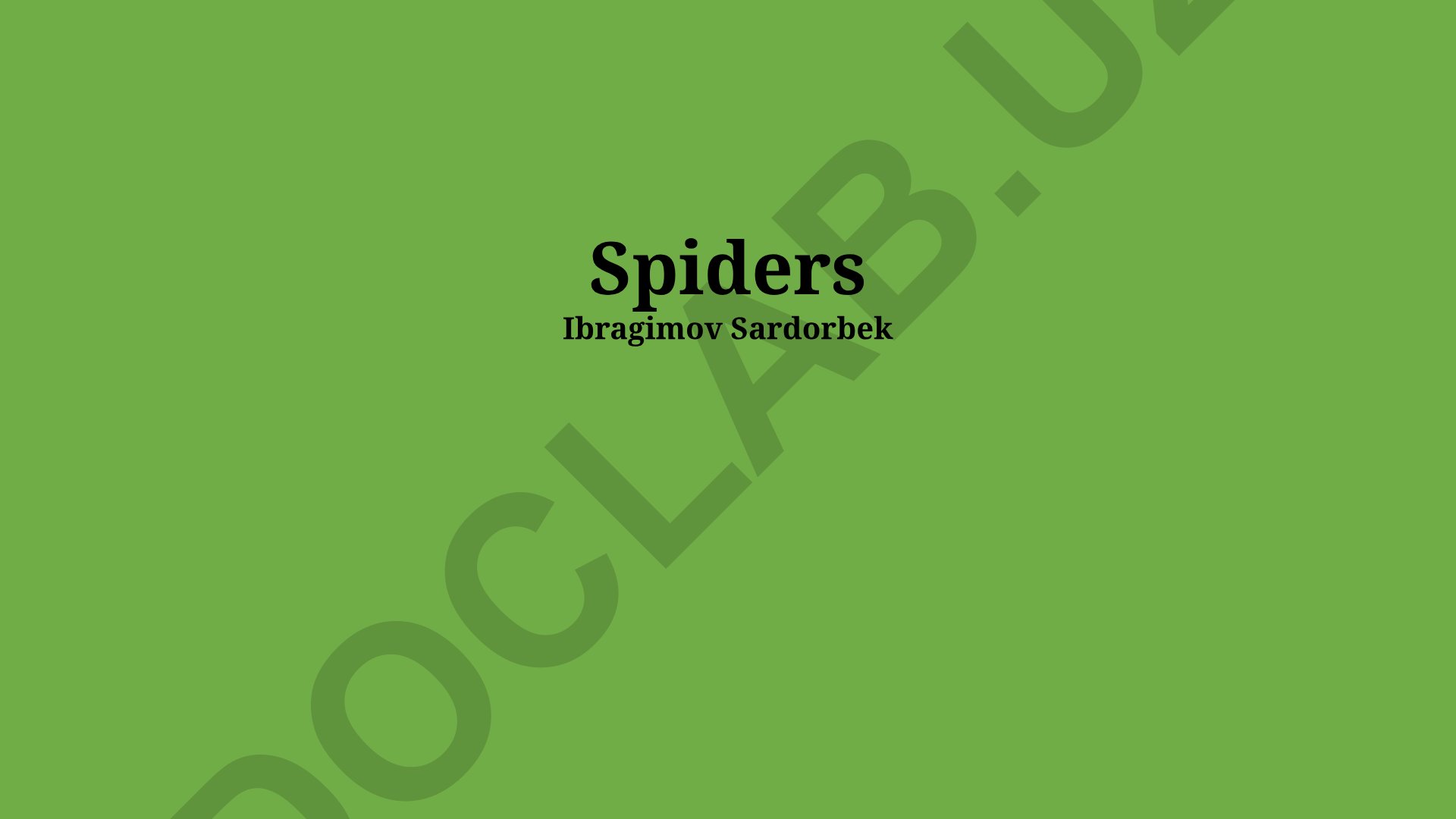 The World of Spider Webs, Anatomy, Diversity and Habitats