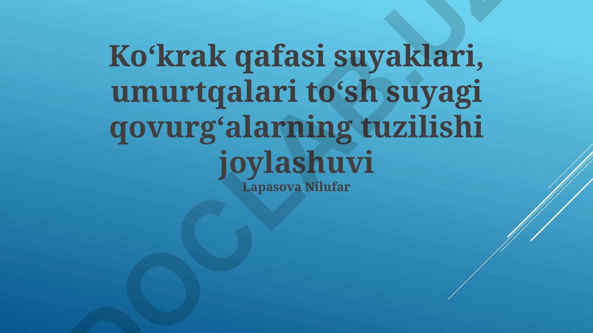Ko'krak qafasi suyaklari, umurtqalari va to'sh suyagi tuzilishi