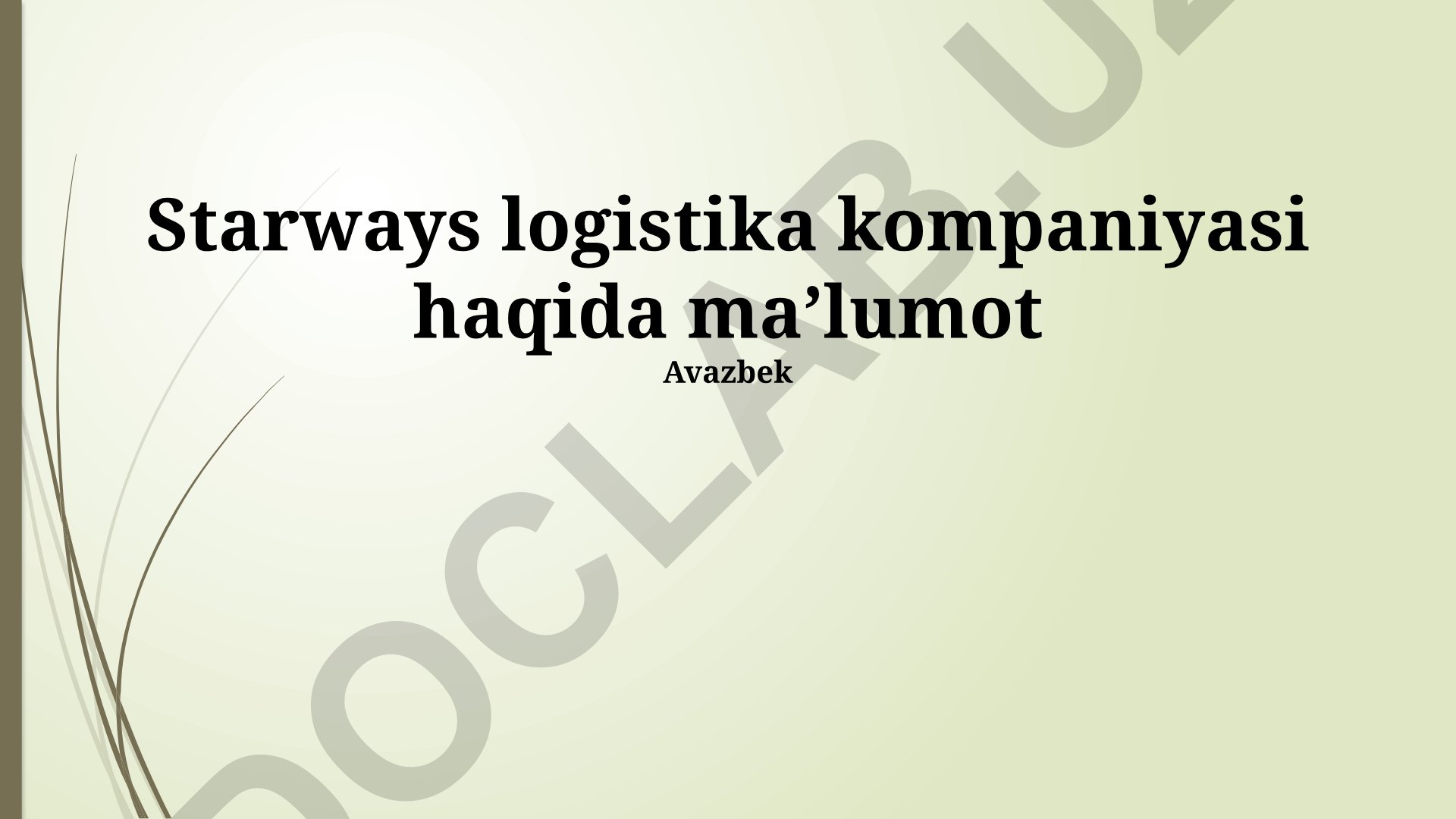 Starways logistika kompaniyasi xizmatlari va rivojlanishi