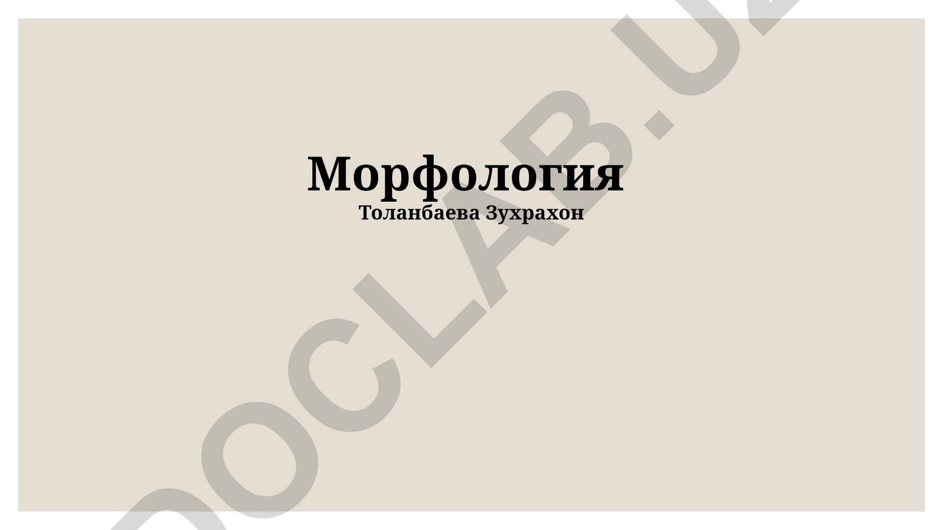 Морфология русского языка: основные понятия, процессы и категории
