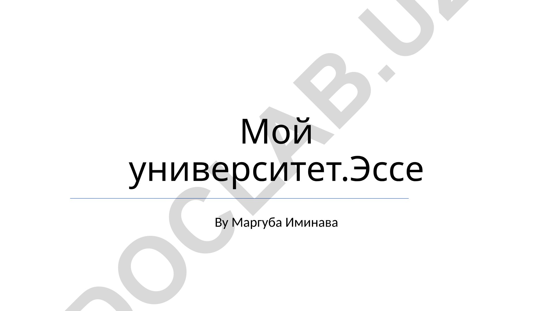 Мой университет: академическая жизнь, история и студенческая деятельность