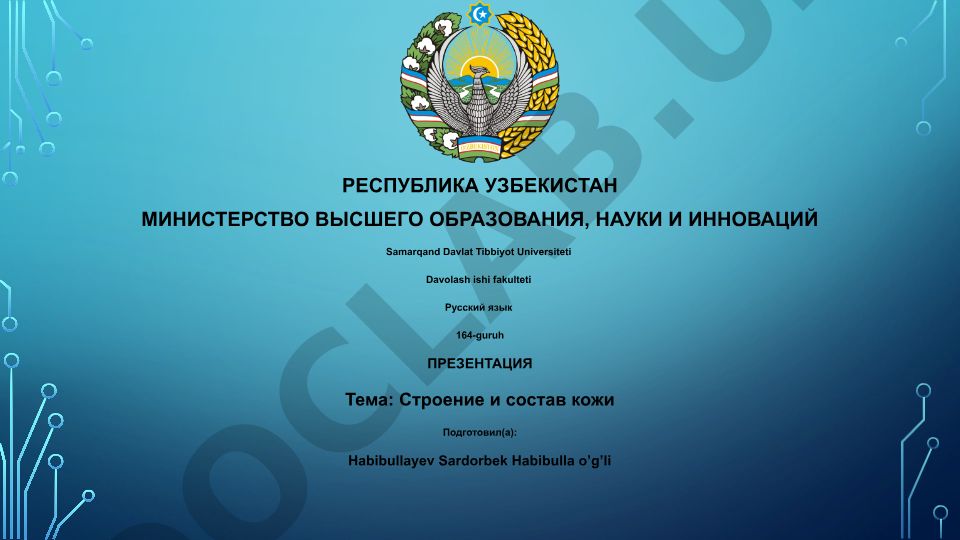 Строение и состав кожи