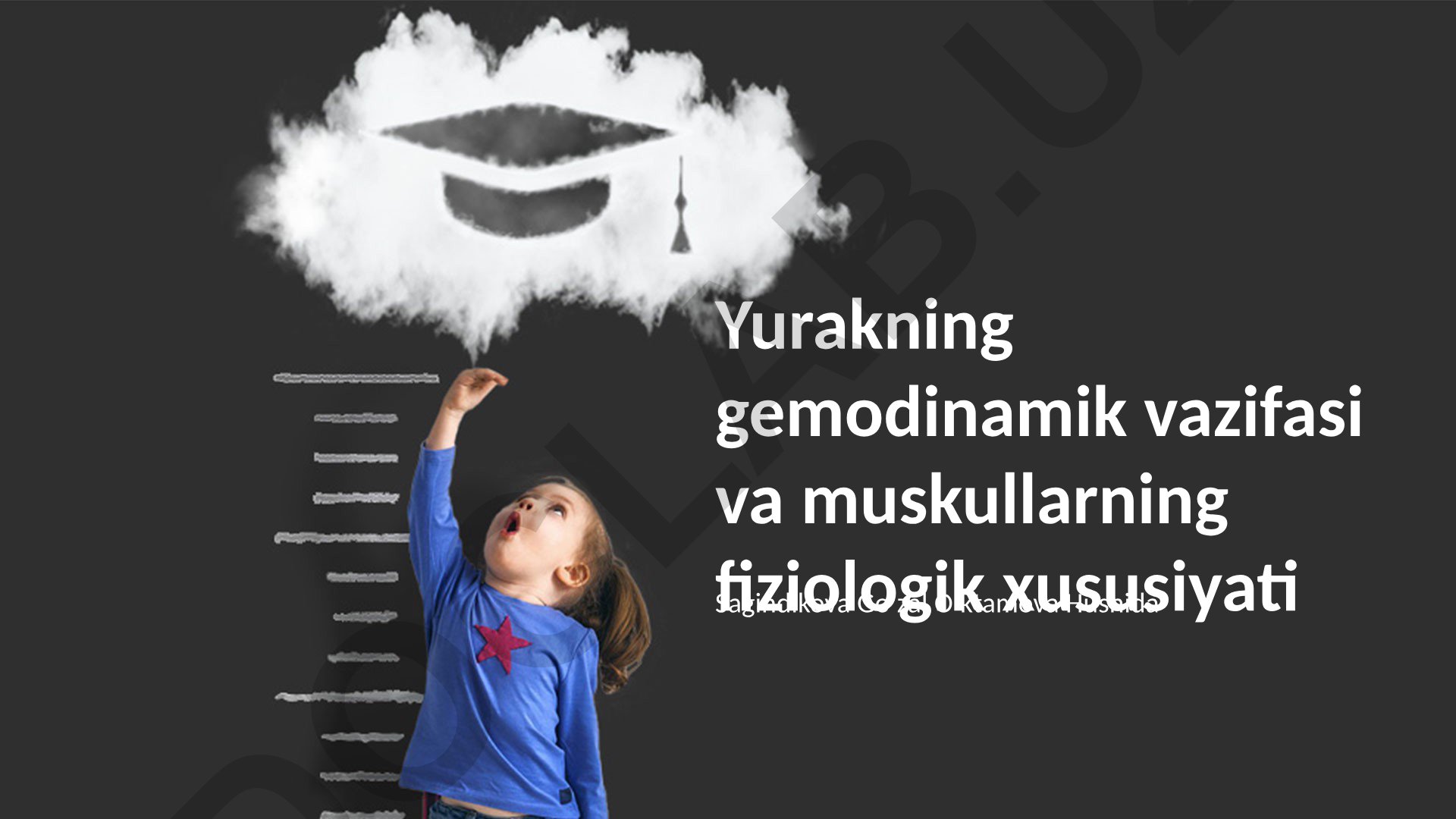 Yurakning gemodinamik vazifasi va muskullarning fiziologik xususiyati