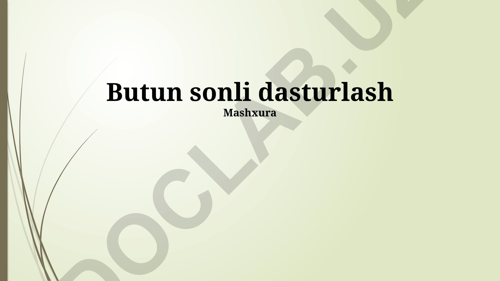 Butun sonli dasturlash yondashuvlari va algoritmlari