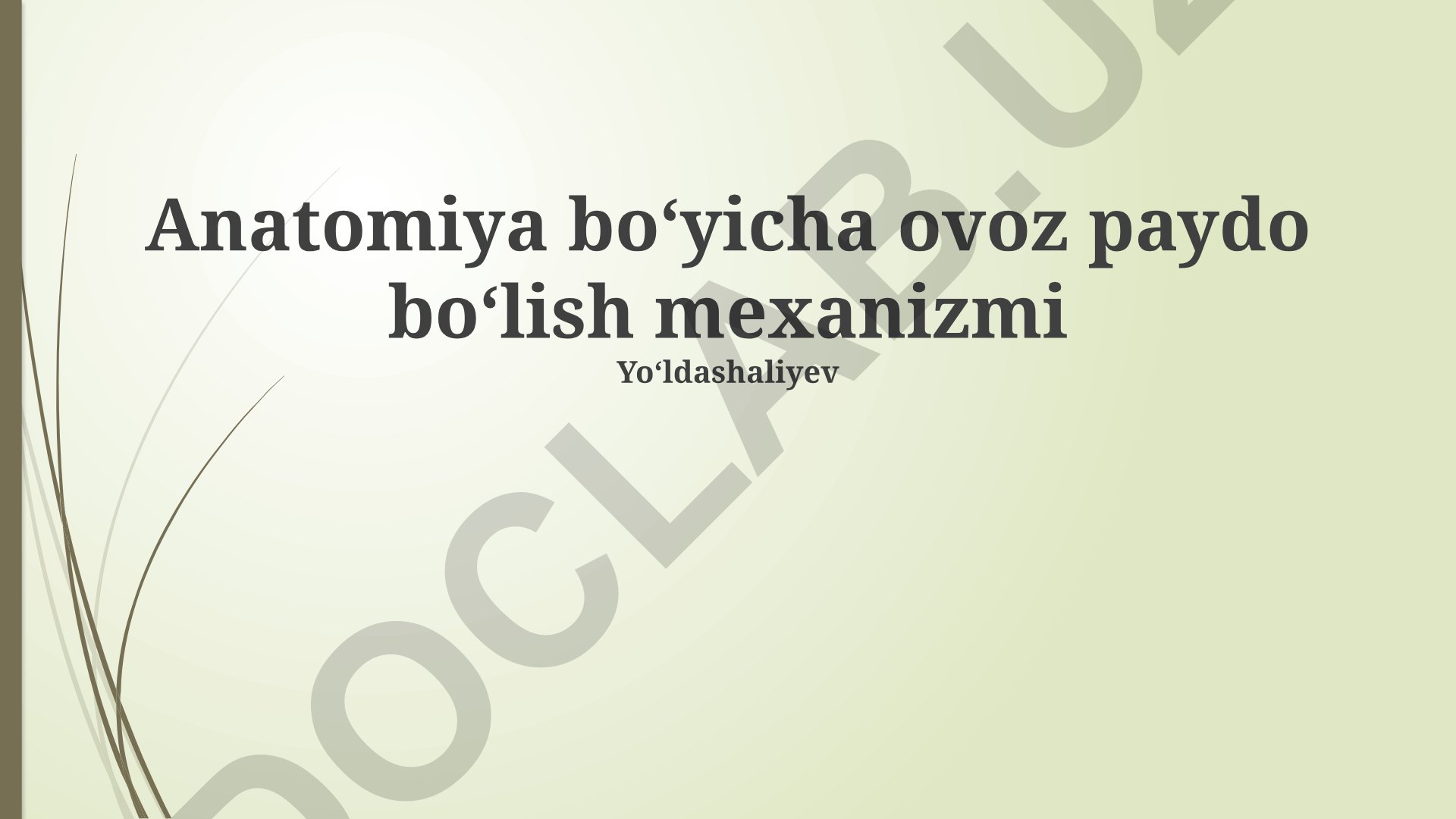 Anatomiya boʻyicha ovoz paydo boʻlish mexanizmi