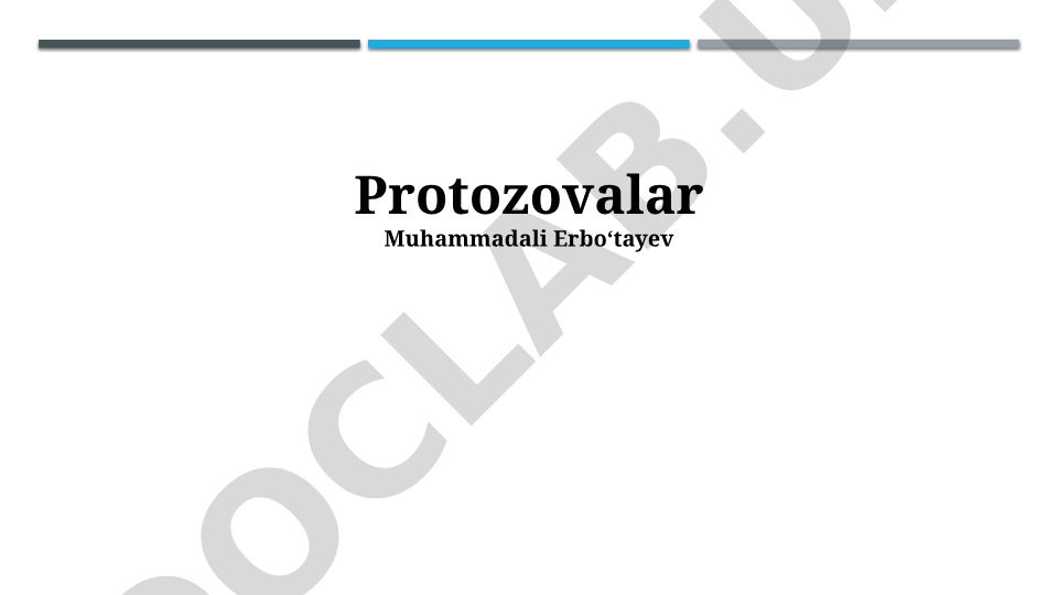 Protozoa turlari, tuzilishi va inson salomatligiga ta'siri