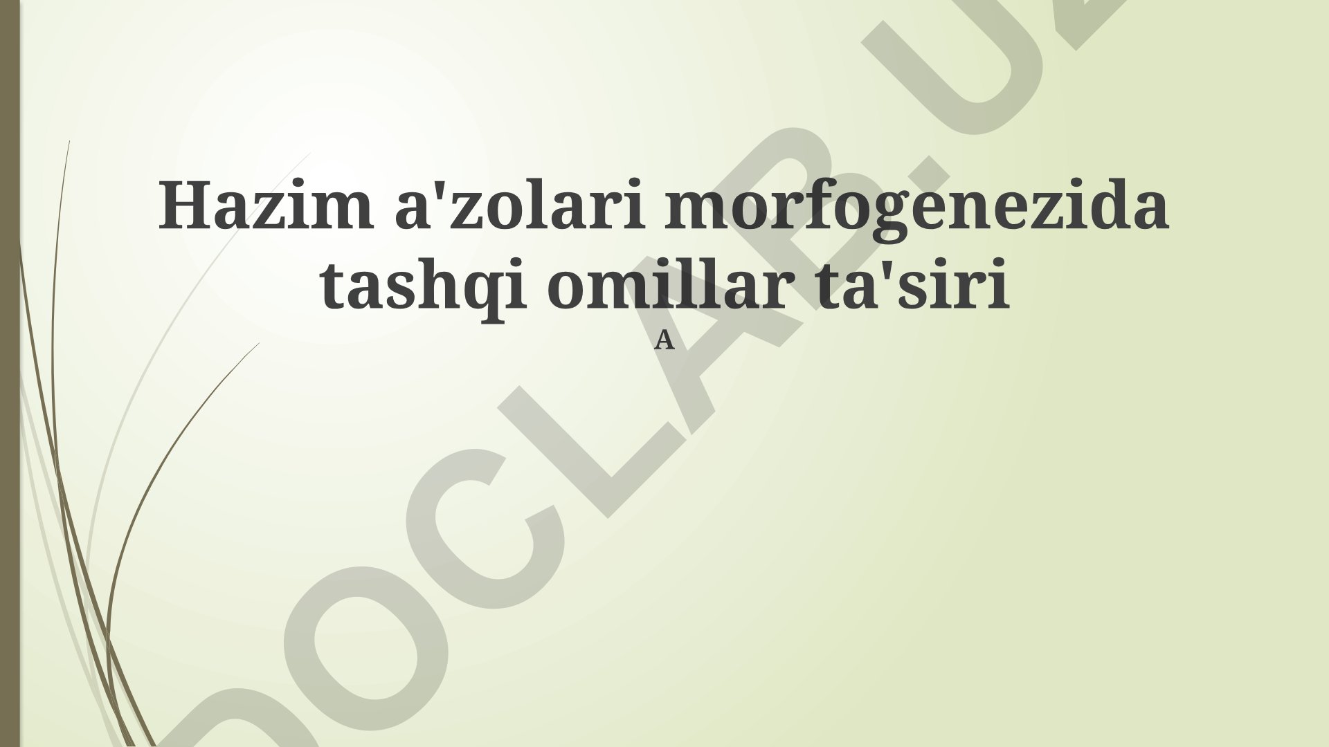 Hazim a'zolari morfogenezida tashqi omillar ta'siri