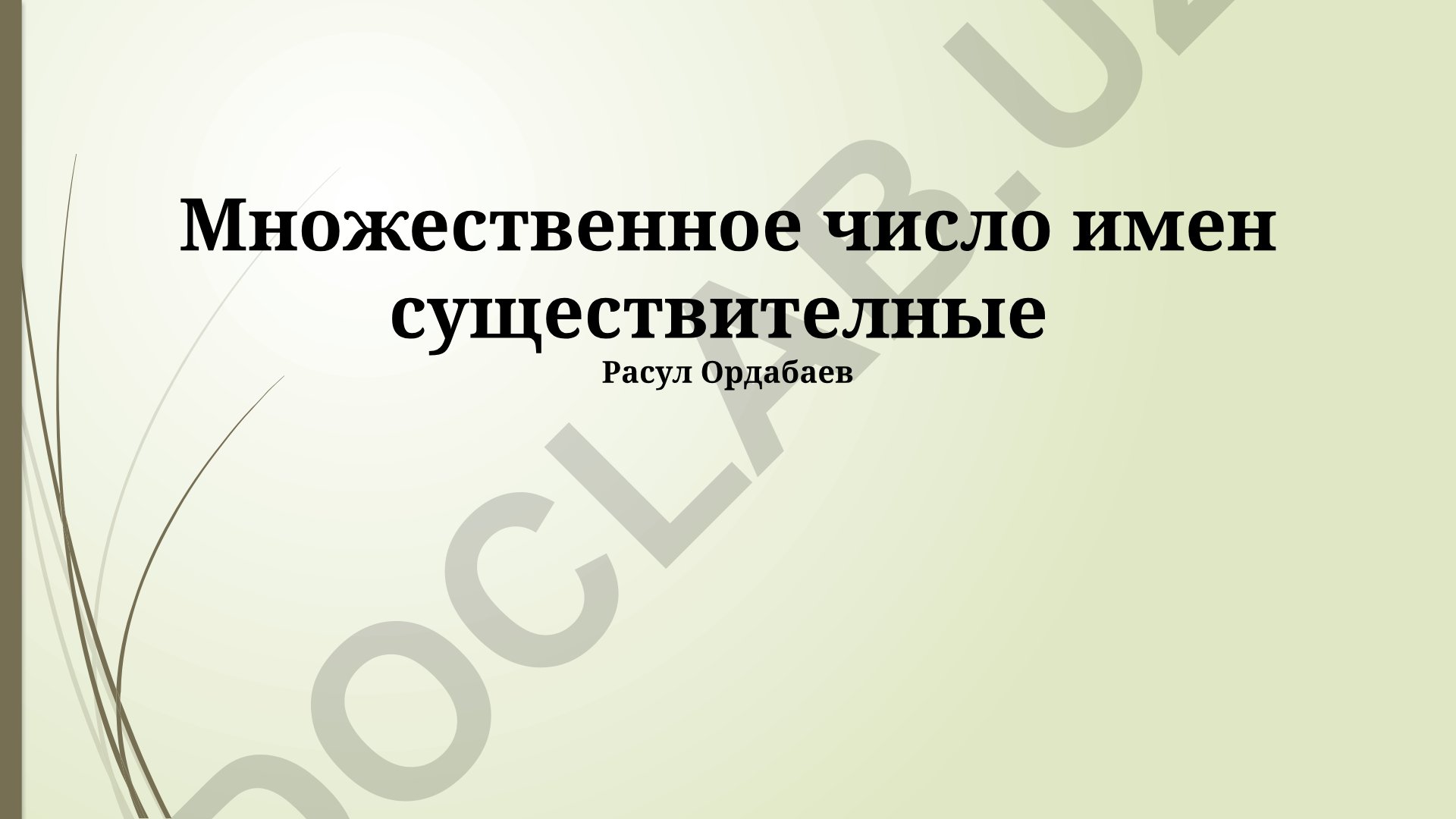 Множественное число имен существительных в русском языке