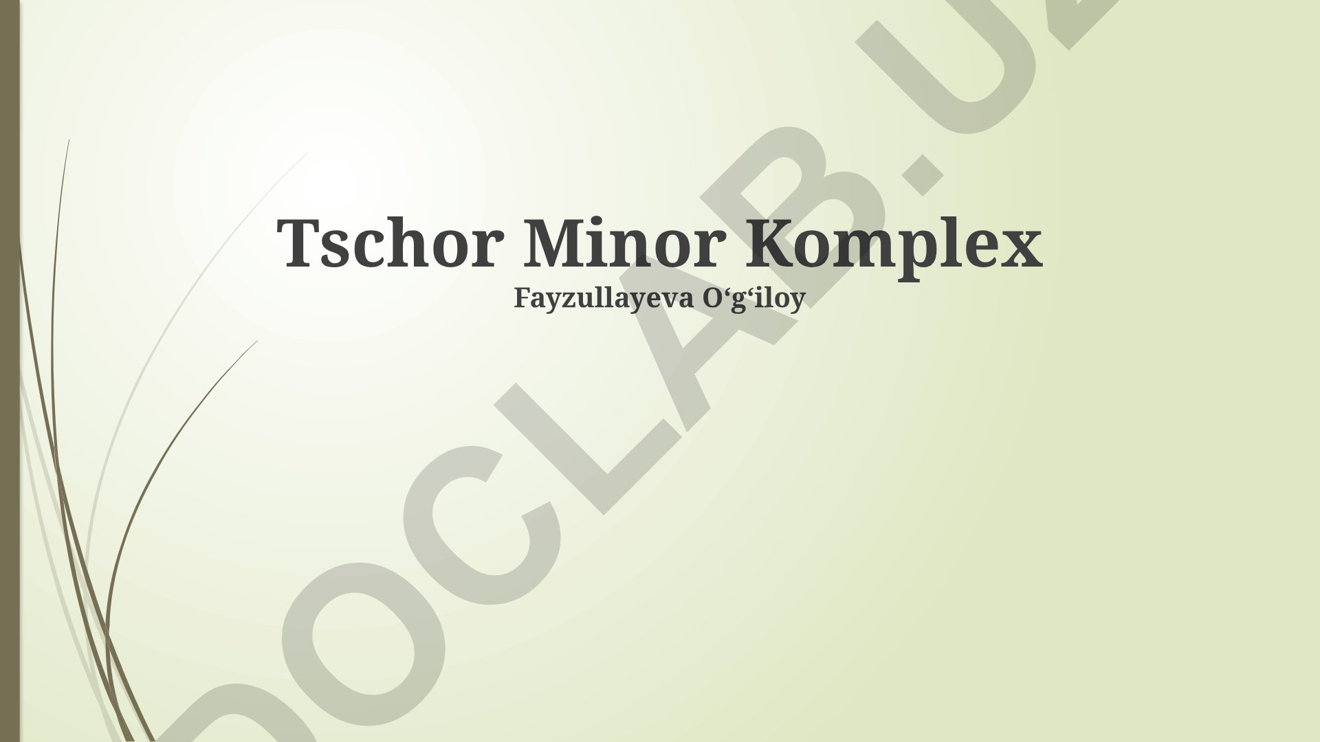 Tschor Minor Komplex: Lage, Architektur, Geschichte und Restaurierung