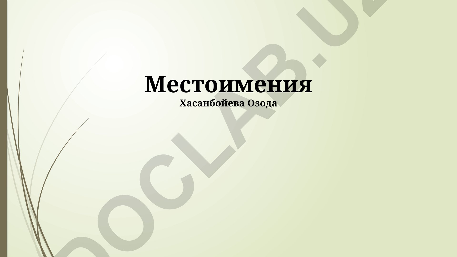 Русский язык: типы и употребление местоимений