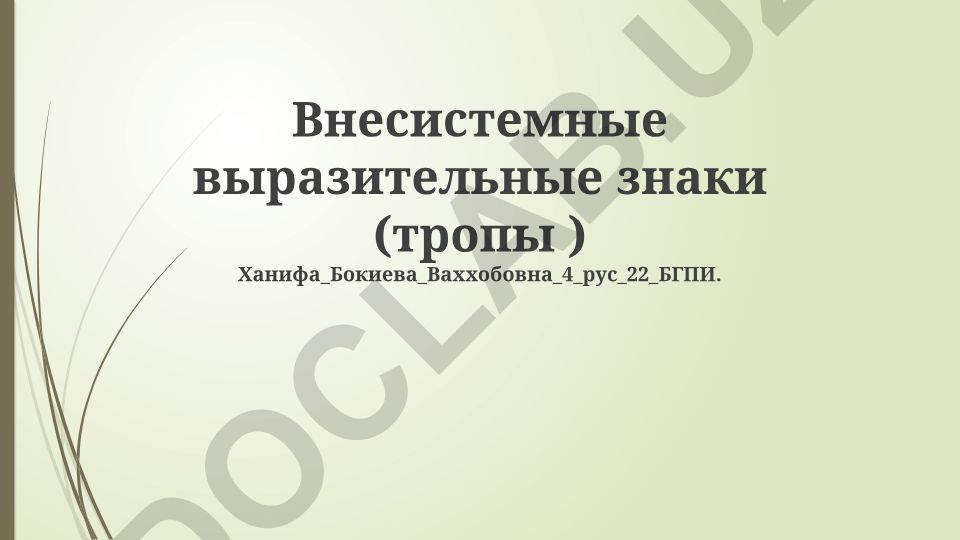 Внесистемные выразительные знаки (тропы)