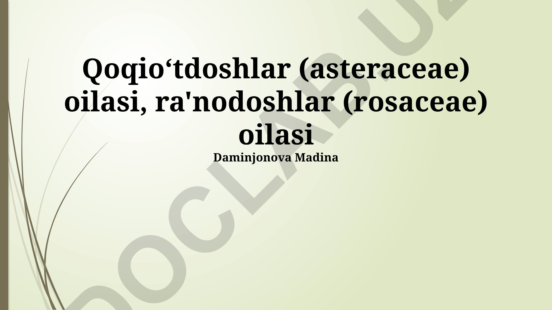 Asteraceae va Rosaceae o'simlik oilalarining iqtisodiy ahamiyati va muhofazasi