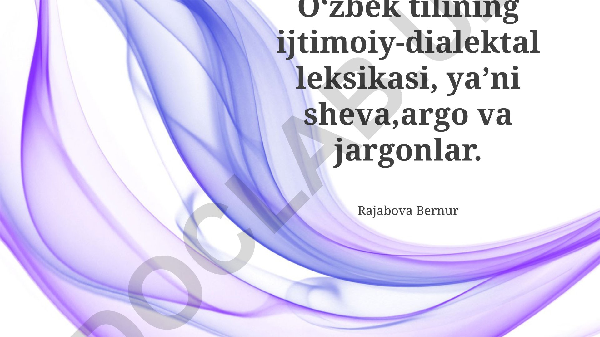 Oʻzbek tilining ijtimoiy-dialektal leksikasi: sheva, argo va jargonlar