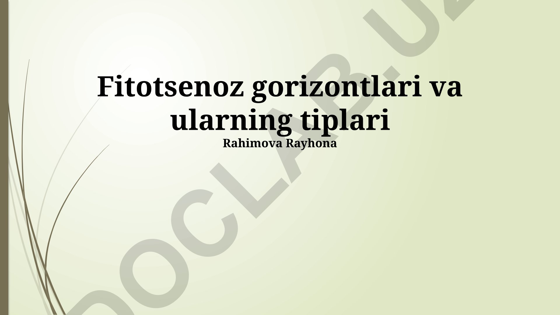 Fitotsenoz gorizontlari va ularning tiplari