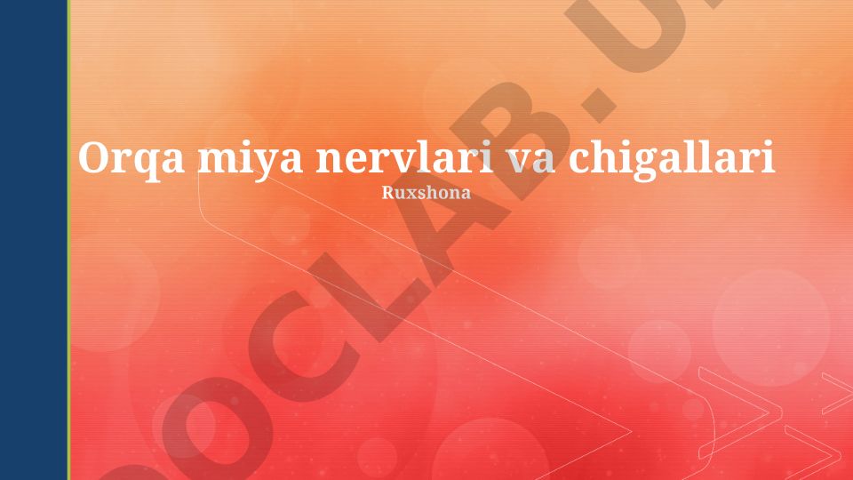 Orqa miya nervlari va chigallari: nerv plexuslari turlari, funktsiyalari va klinik ahamiyati