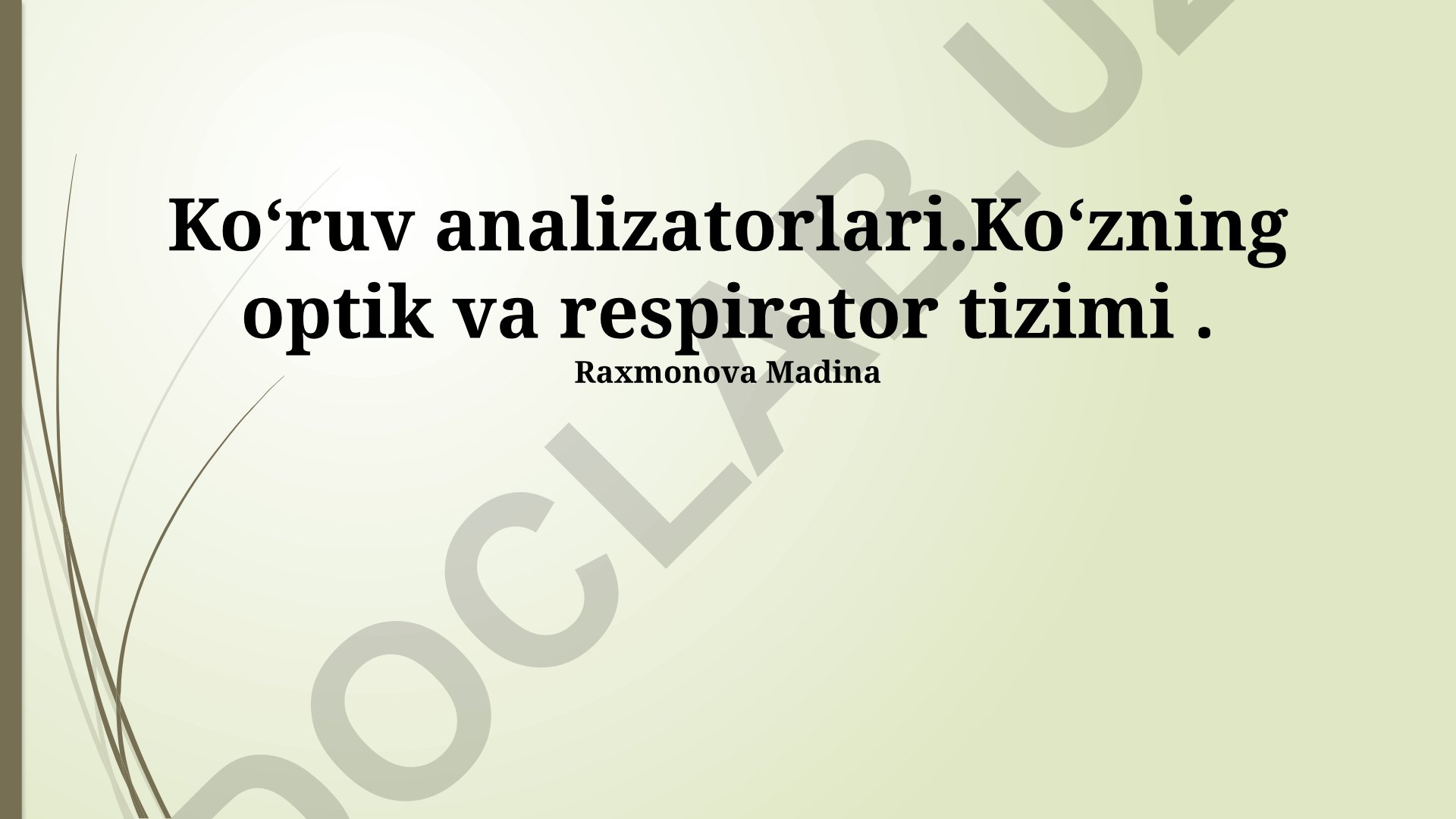 Ko'zning optik va respirator tizimi