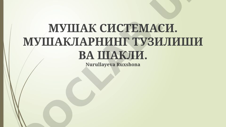 Mushak sistemasi, mushaklarning tuzilishi va shakli
