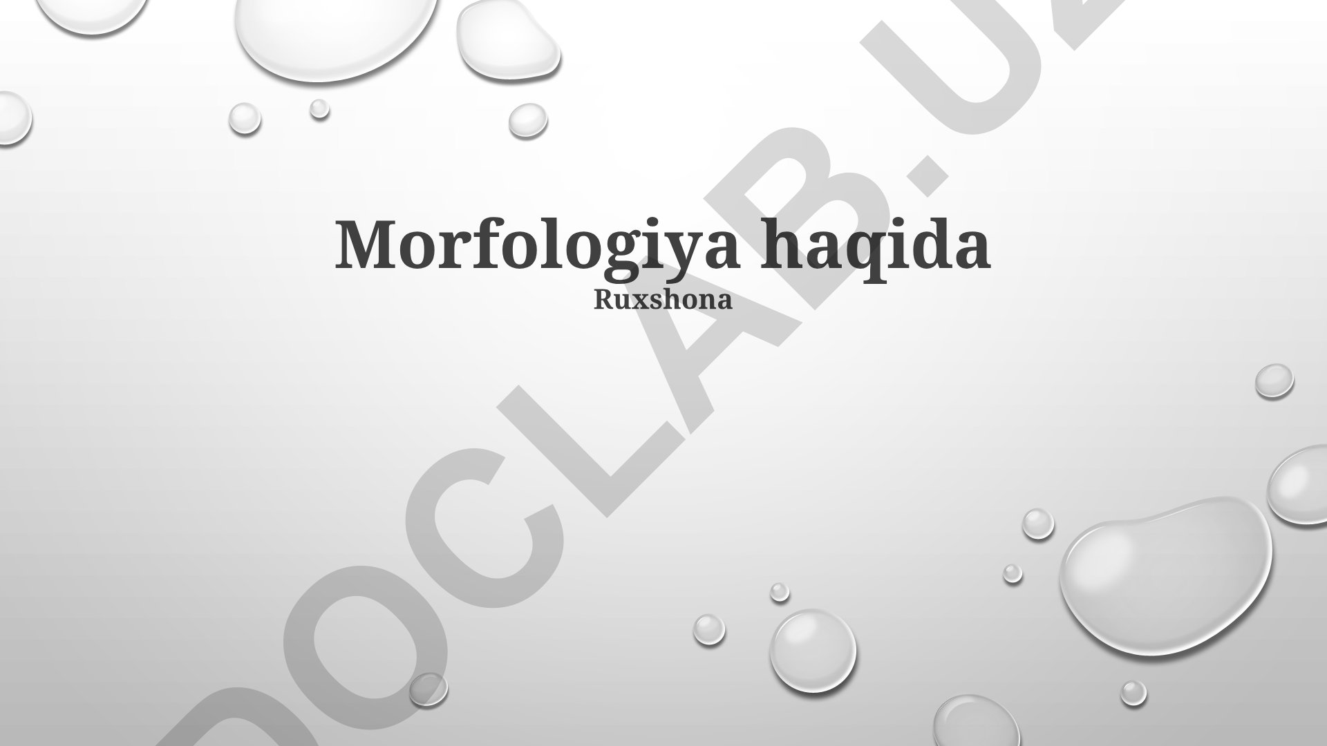 Morfologiya haqida