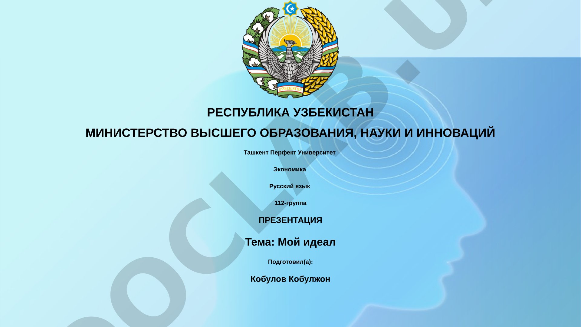 Мой идеал