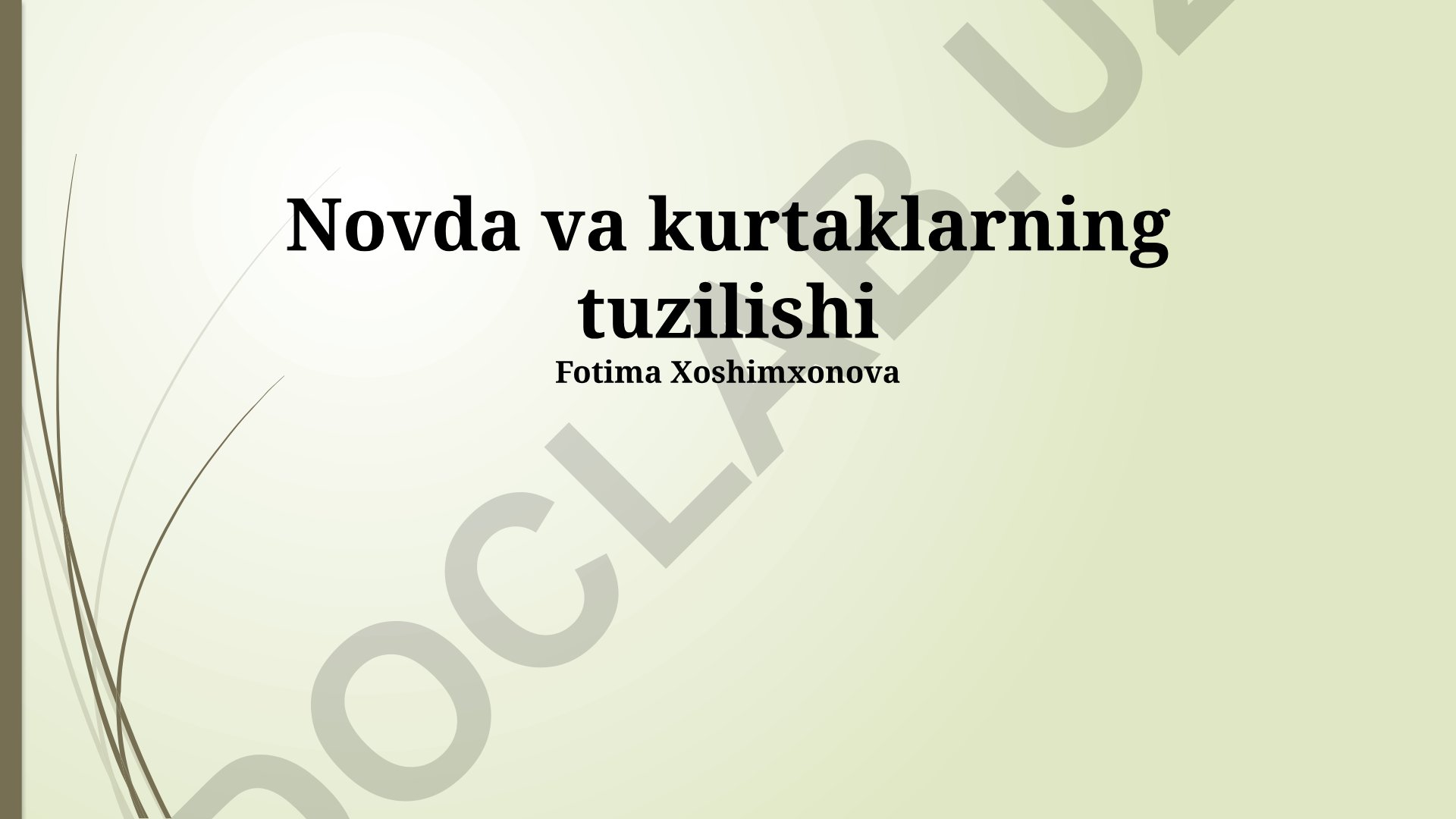Kurtak va novdalarning tuzilishi, turlari va rivojlanishi