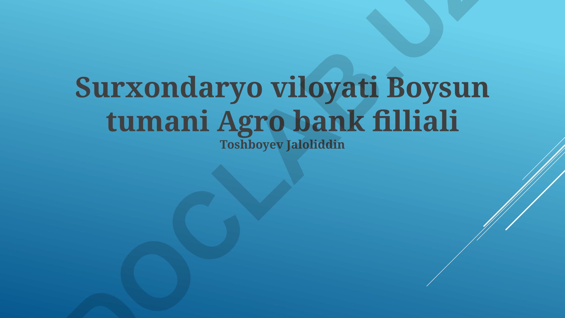 Surxondaryo viloyati Boysun tumani Agrobank filiali faoliyati va rivojlanish istiqbollari