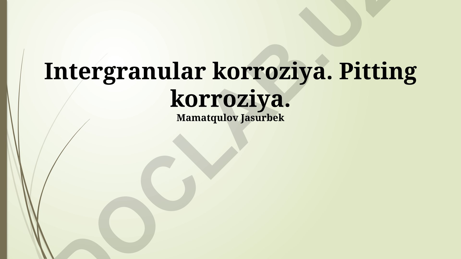 Korroziya turlari: intergranulyar, chuqur va pitting korroziyasi