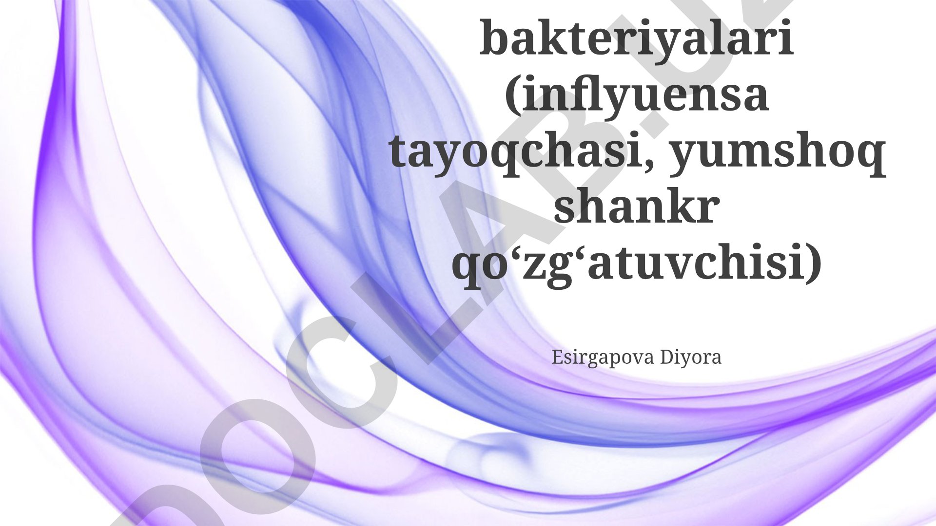 Gemofil bakteriyalari: Influenza bacillus va Haemophilus ducreyi