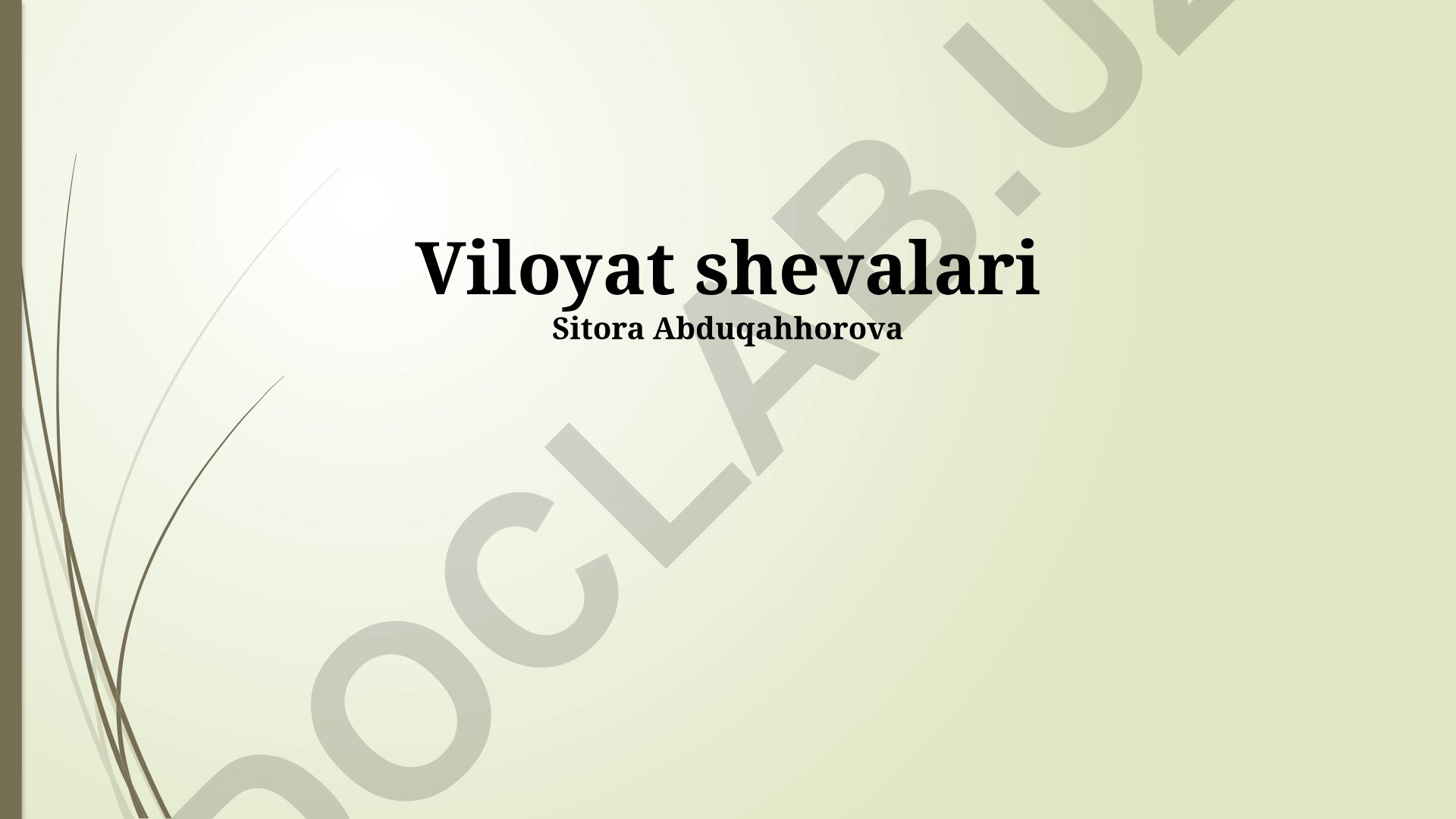 Viloyat shevalari va hududiy lahjalarning xususiyatlari
