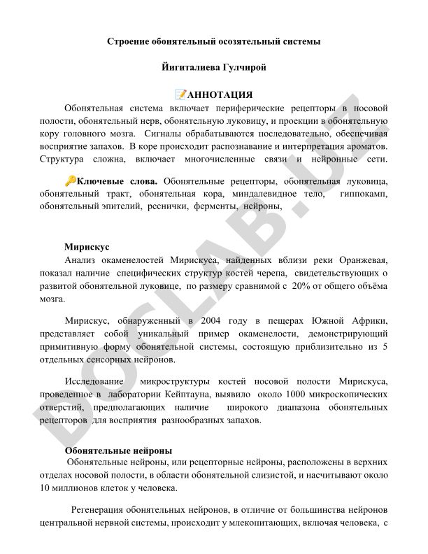 Строение обонятельной системы