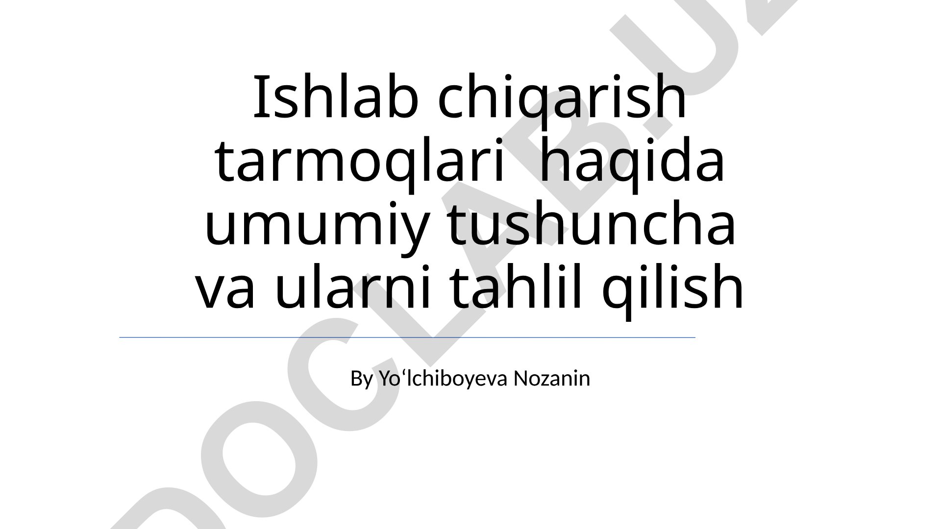 Ishlab chiqarish tarmoqlari haqida umumiy tushuncha va tahlil