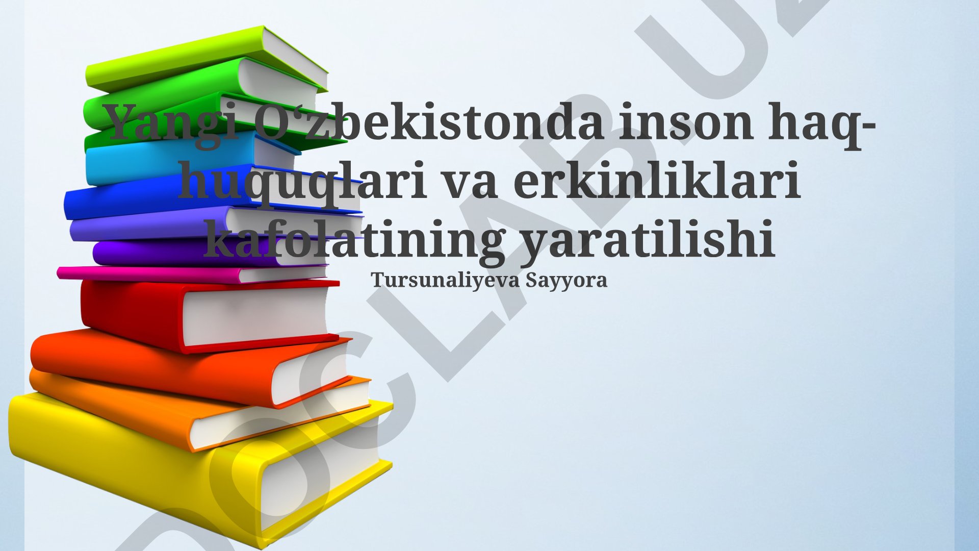 Yangi Oʻzbekistonda inson haq-huquqlari va erkinliklari kafolatining yaratilishi